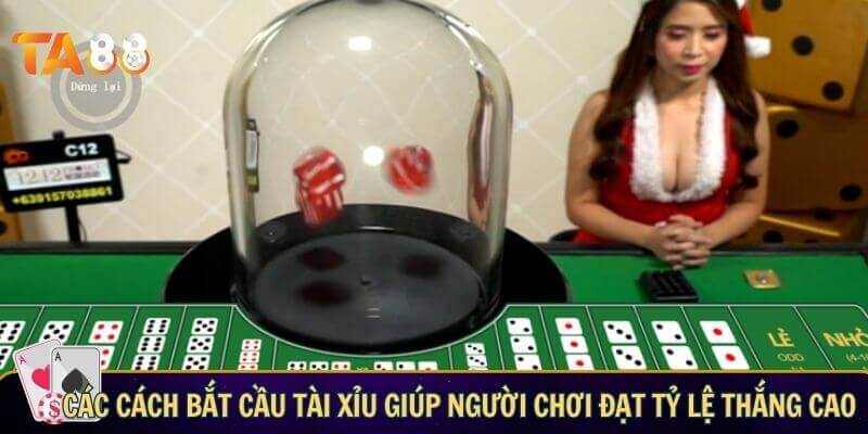 Các cách bắt cầu tài xỉu giúp bạn đạt tỷ lệ thắng cao