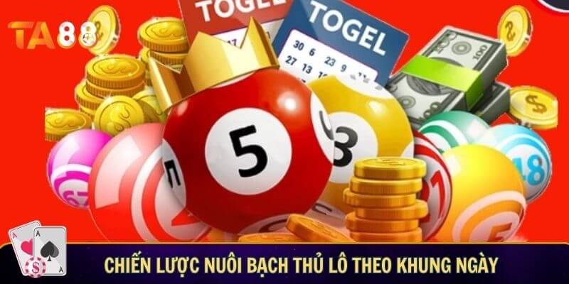 Chiến lược nuôi bạch thủ lô theo khung ngày