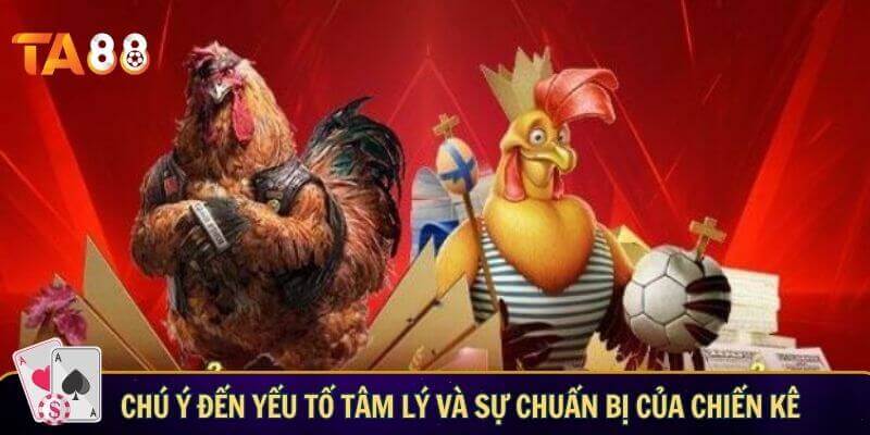 Chú ý đến yếu tố tâm lý và sự chuẩn bị của chiến kê