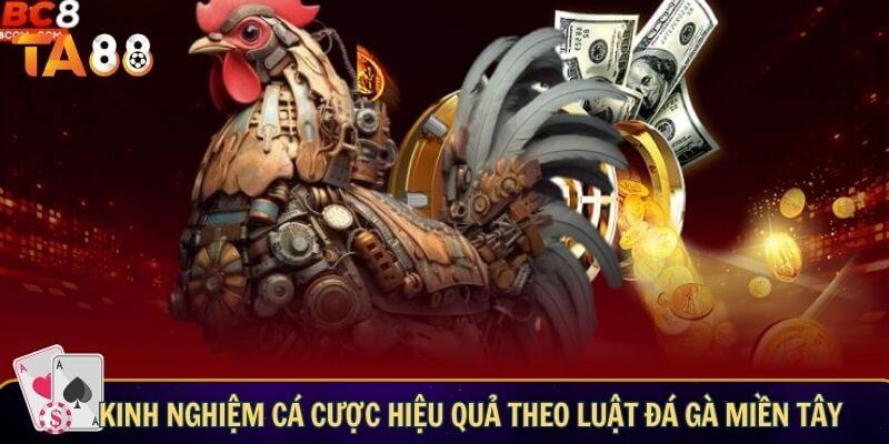 Kinh nghiệm cá cược hiệu quả theo luật đá gà miền Tây