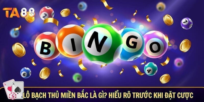 Lô bạch thủ miền bắc là gì? Hiểu rõ trước khi đặt cược
