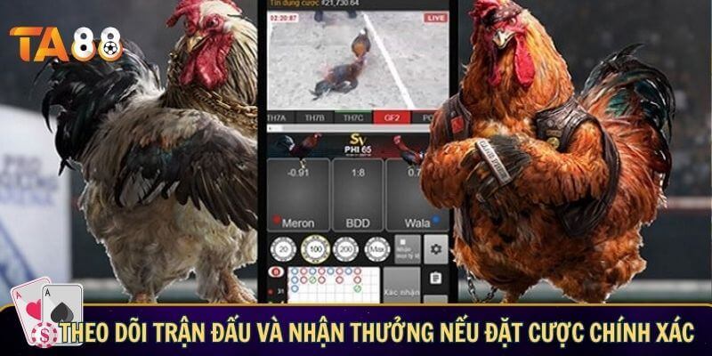 Theo dõi trận đấu và nhận thưởng nếu đặt cược chính xác
