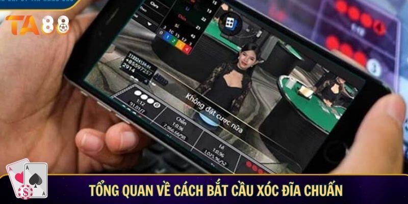 Tổng quan về cách bắt cầu xóc đĩa chuẩn