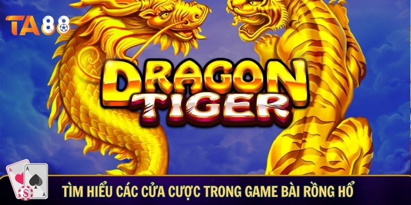 Tìm hiểu các cửa cược trong game bài Rồng Hổ