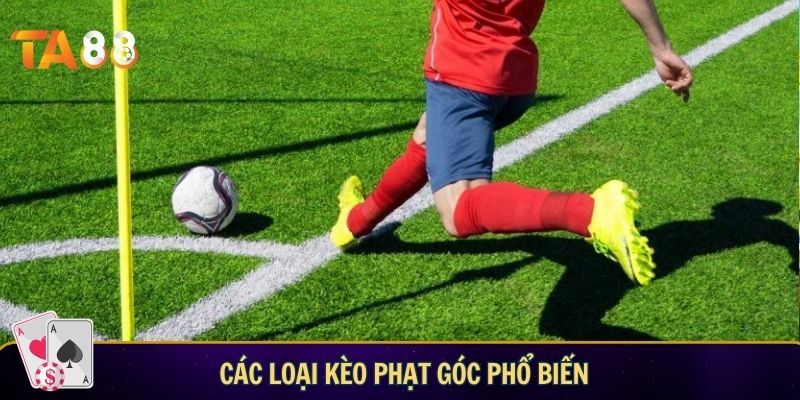 Các loại kèo phổ biến trong kèo phạt góc là gì?