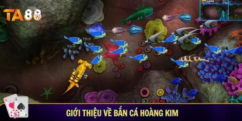 ban ca hoang kim 1