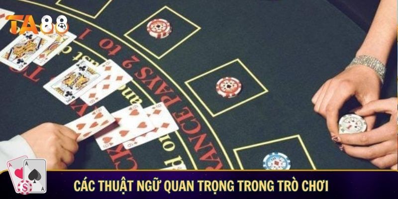 Các thuật ngữ quan trọng trong game bài xì dách